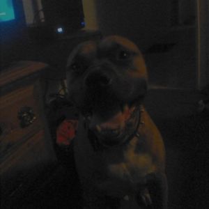 Meet your Posher, Scott